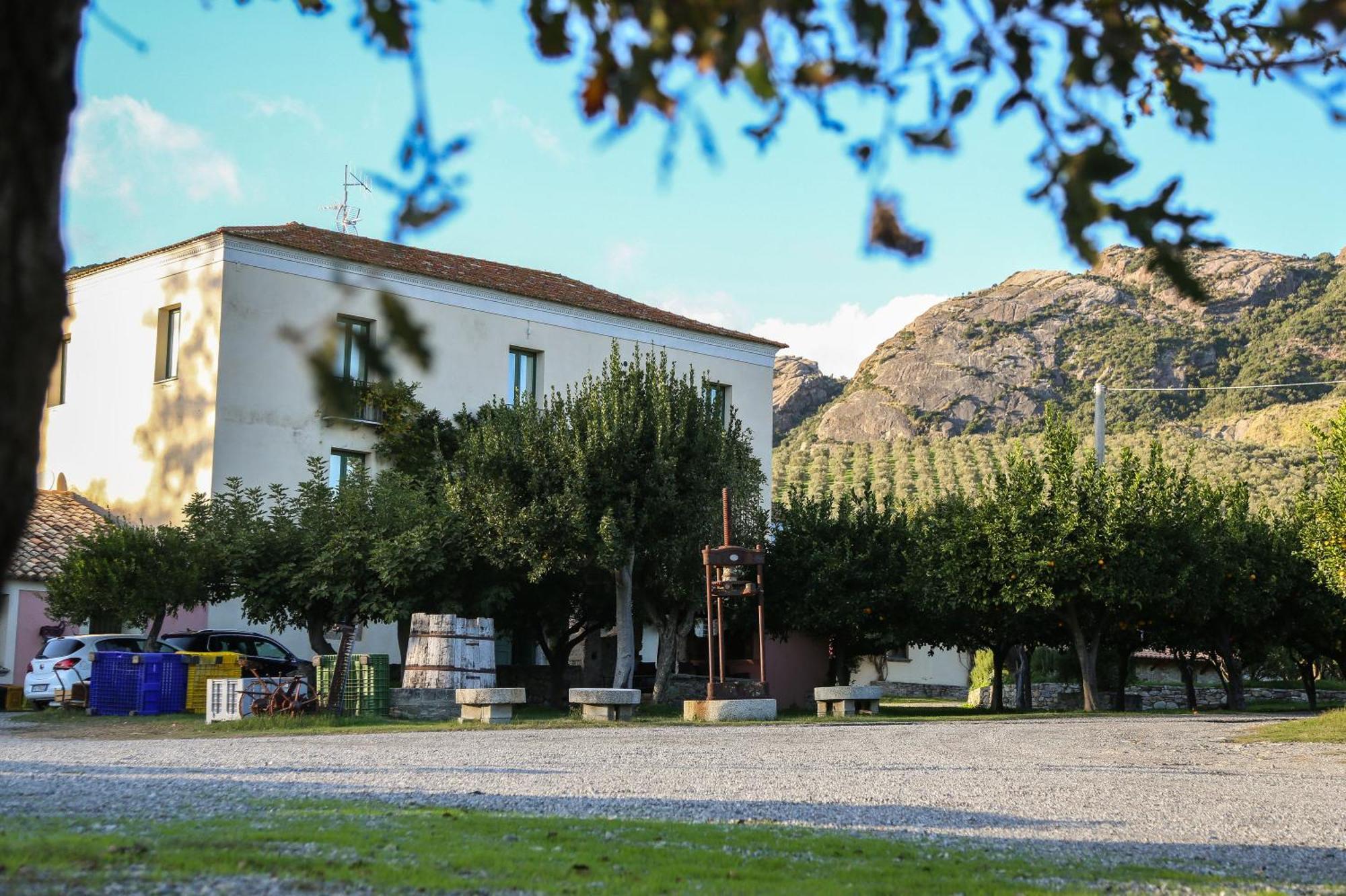 Barone Gr Macri Agriturismo Modi Gerace Eksteriør billede