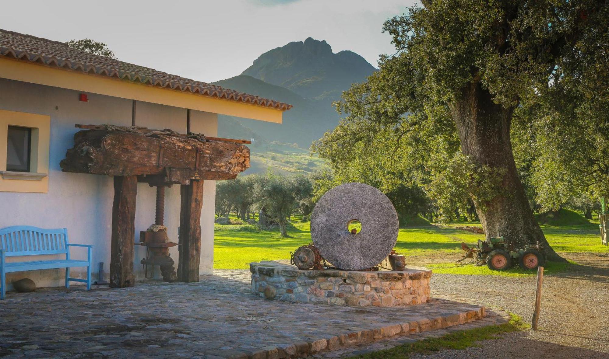 Barone Gr Macri Agriturismo Modi Gerace Eksteriør billede